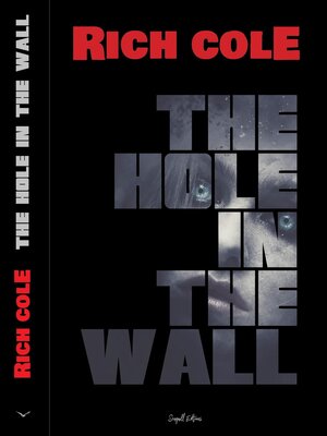 cover image of The Hole in the Wall